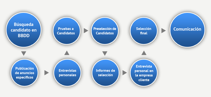 Proceso de selección