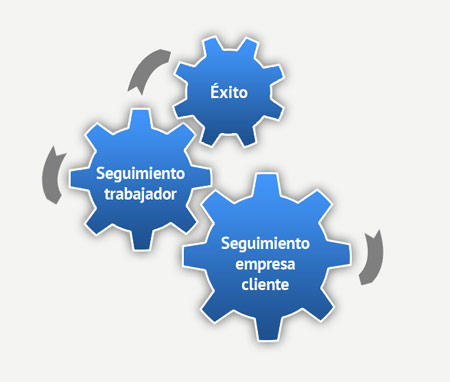 Proceso de selección